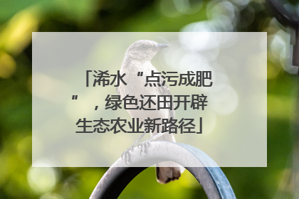 浠水“点污成肥”，绿色还田开辟生态农业新路径