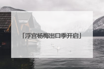 浮宫杨梅出口季开启