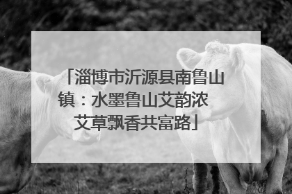 淄博市沂源县南鲁山镇：水墨鲁山艾韵浓 艾草飘香共富路
