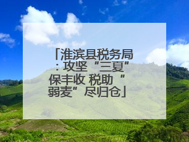 淮滨县税务局：攻坚“三夏”保丰收 税助“弱麦”尽归仓