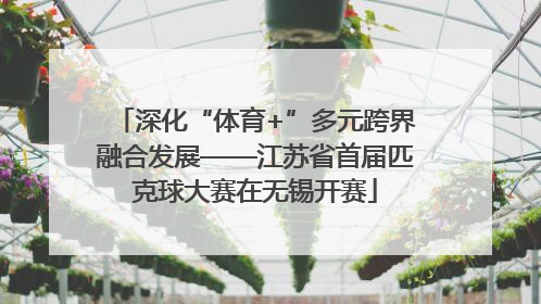 深化“体育+”多元跨界融合发展——江苏省首届匹克球大赛在无锡开赛