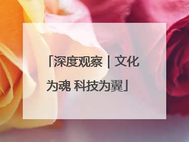 深度观察｜文化为魂 科技为翼
