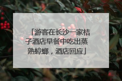 游客在长沙一家桔子酒店早餐中吃出蒸熟蟑螂，酒店回应