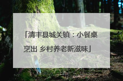 清丰县城关镇：小餐桌烹出 乡村养老新滋味