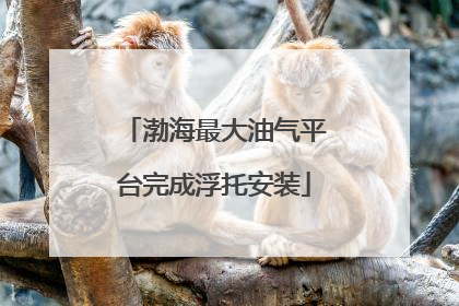渤海最大油气平台完成浮托安装