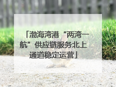 渤海湾港“两湾一航”供应链服务北上通道稳定运营