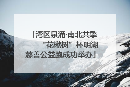 湾区泉涌·南北共擎——“花楸树”杯明湖慈善公益跑成功举办