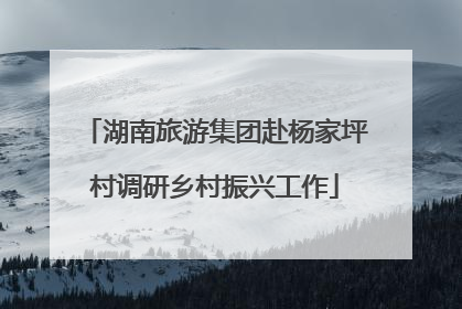 湖南旅游集团赴杨家坪村调研乡村振兴工作