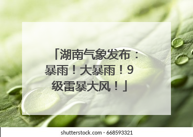 湖南气象发布：暴雨！大暴雨！9级雷暴大风！