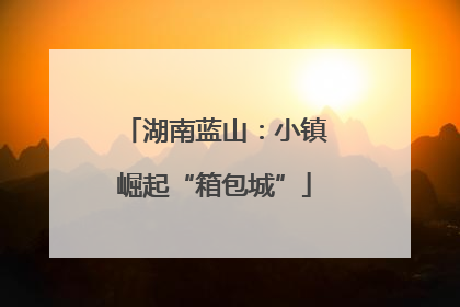 湖南蓝山：小镇崛起“箱包城”