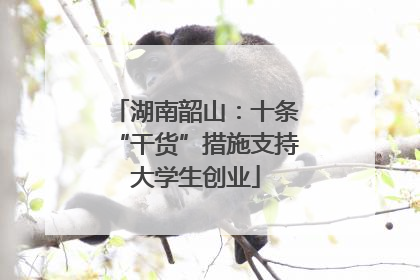 湖南韶山：十条“干货”措施支持大学生创业