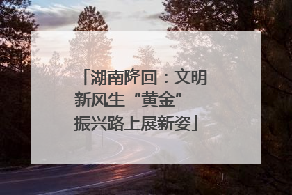 湖南隆回：文明新风生“黄金” 振兴路上展新姿