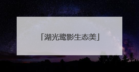 湖光鹭影生态美