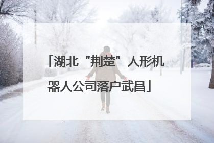 湖北“荆楚”人形机器人公司落户武昌