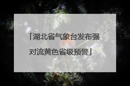 湖北省气象台发布强对流黄色省级预警