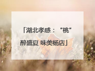 湖北孝感：“桃”醉盛夏 味美杨店