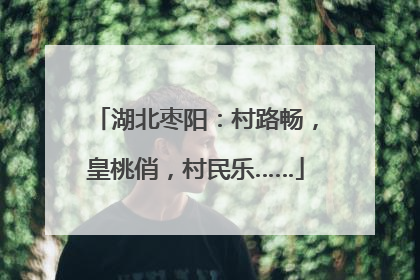 湖北枣阳：村路畅，皇桃俏，村民乐……