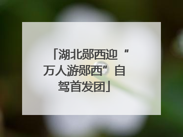 湖北郧西迎“万人游郧西”自驾首发团