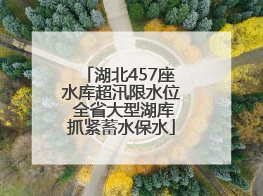 湖北457座水库超汛限水位 全省大型湖库抓紧蓄水保水