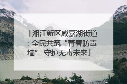 湘江新区咸嘉湖街道：全民共筑“青春防毒墙” 守护无毒未来