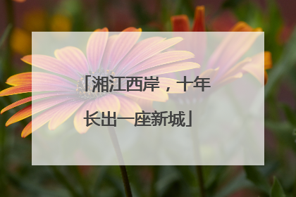 湘江西岸，十年长出一座新城