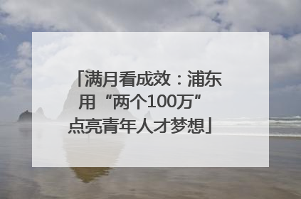满月看成效：浦东用“两个100万”点亮青年人才梦想