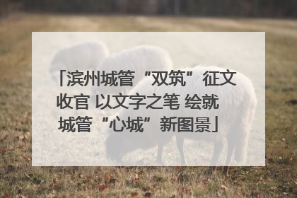 滨州城管“双筑”征文收官 以文字之笔 绘就城管“心城”新图景