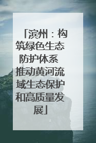 滨州：构筑绿色生态防护体系 推动黄河流域生态保护和高质量发展