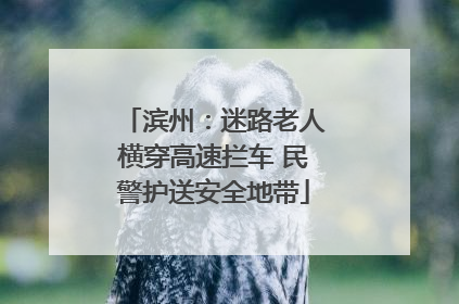 滨州：迷路老人横穿高速拦车 民警护送安全地带