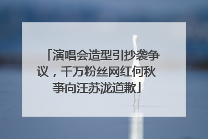 演唱会造型引抄袭争议，千万粉丝网红何秋亊向汪苏泷道歉