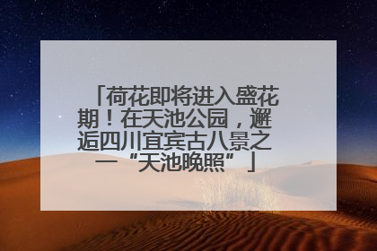 荷花即将进入盛花期！在天池公园，邂逅四川宜宾古八景之一“天池晚照”