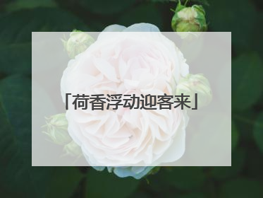 荷香浮动迎客来