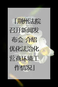 荆州法院召开新闻发布会 介绍优化法治化营商环境工作情况