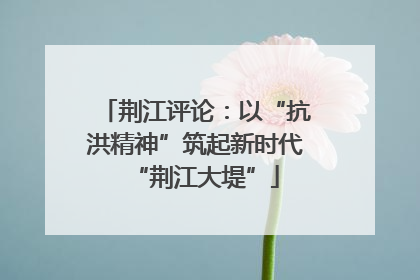 荆江评论：以“抗洪精神”筑起新时代“荆江大堤”
