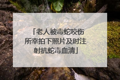 老人被毒蛇咬伤 所幸拍下照片及时注射抗蛇毒血清