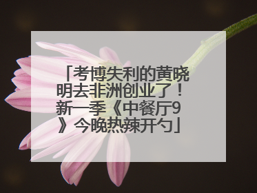 考博失利的黄晓明去非洲创业了！新一季《中餐厅9》今晚热辣开勺
