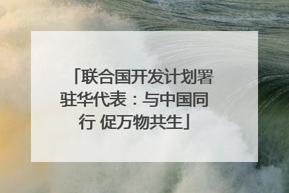 联合国开发计划署驻华代表：与中国同行 促万物共生