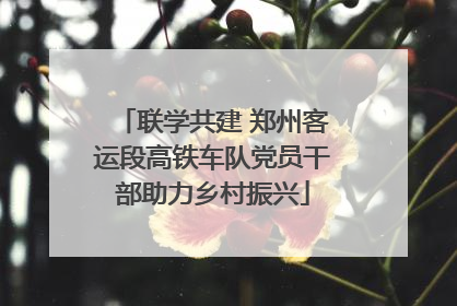 联学共建 郑州客运段高铁车队党员干部助力乡村振兴