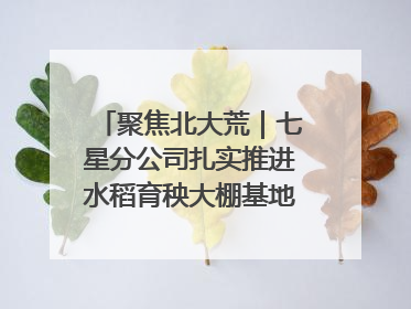 聚焦北大荒｜七星分公司扎实推进水稻育秧大棚基地清理整治工作