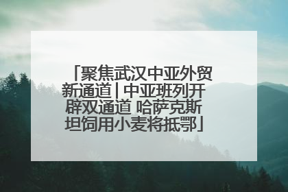 聚焦武汉中亚外贸新通道│中亚班列开辟双通道 哈萨克斯坦饲用小麦将抵鄂