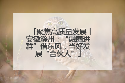 聚焦高质量发展丨安徽滁州：“融圈进群”借东风，当好发展“合伙人”