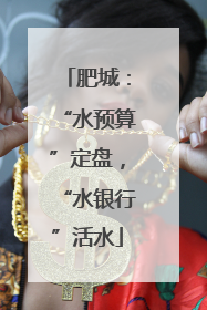 肥城：“水预算”定盘，“水银行”活水