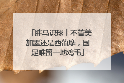 胖马识球丨不管美加墨还是西葡摩，国足唯留一地鸡毛