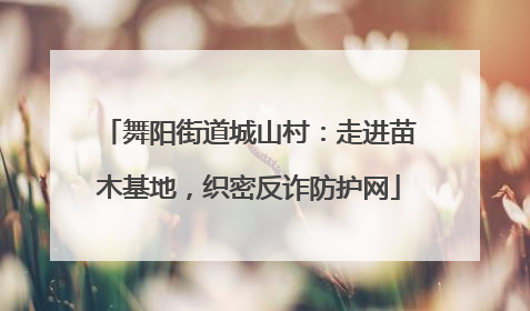 舞阳街道城山村：走进苗木基地，织密反诈防护网