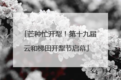 芒种忙开犁！第十九届云和梯田开犁节启幕