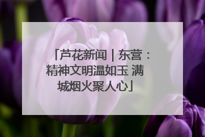 芦花新闻｜东营：精神文明温如玉 满城烟火聚人心