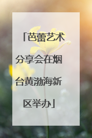 芭蕾艺术分享会在烟台黄渤海新区举办