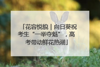 花容悦貌｜向日葵祝考生“一举夺魁”，高考带动鲜花热潮