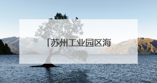 苏州工业园区海归人才子女学校：让学生成为全面发展的终身学习者