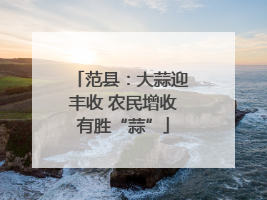 范县：大蒜迎丰收 农民增收有胜“蒜”